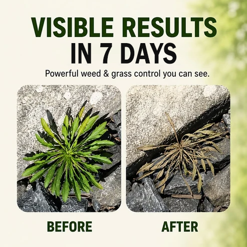 🔥2026 SALE - Fast-Acting Natural Weed & Grass Killer Spray